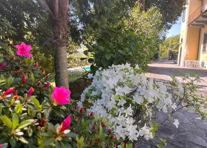 Vsc Apartment - Appartamento In Villa Storica Vista Lago E Piscina